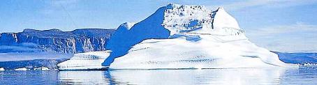 organisation de votre Croisire arctique sur Spitzberg : Sur les terres de l'ours blanc